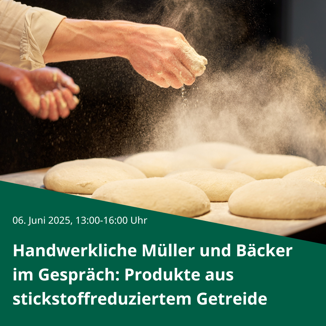 Hand von Bäcker streut Mehl auf Teiglinge